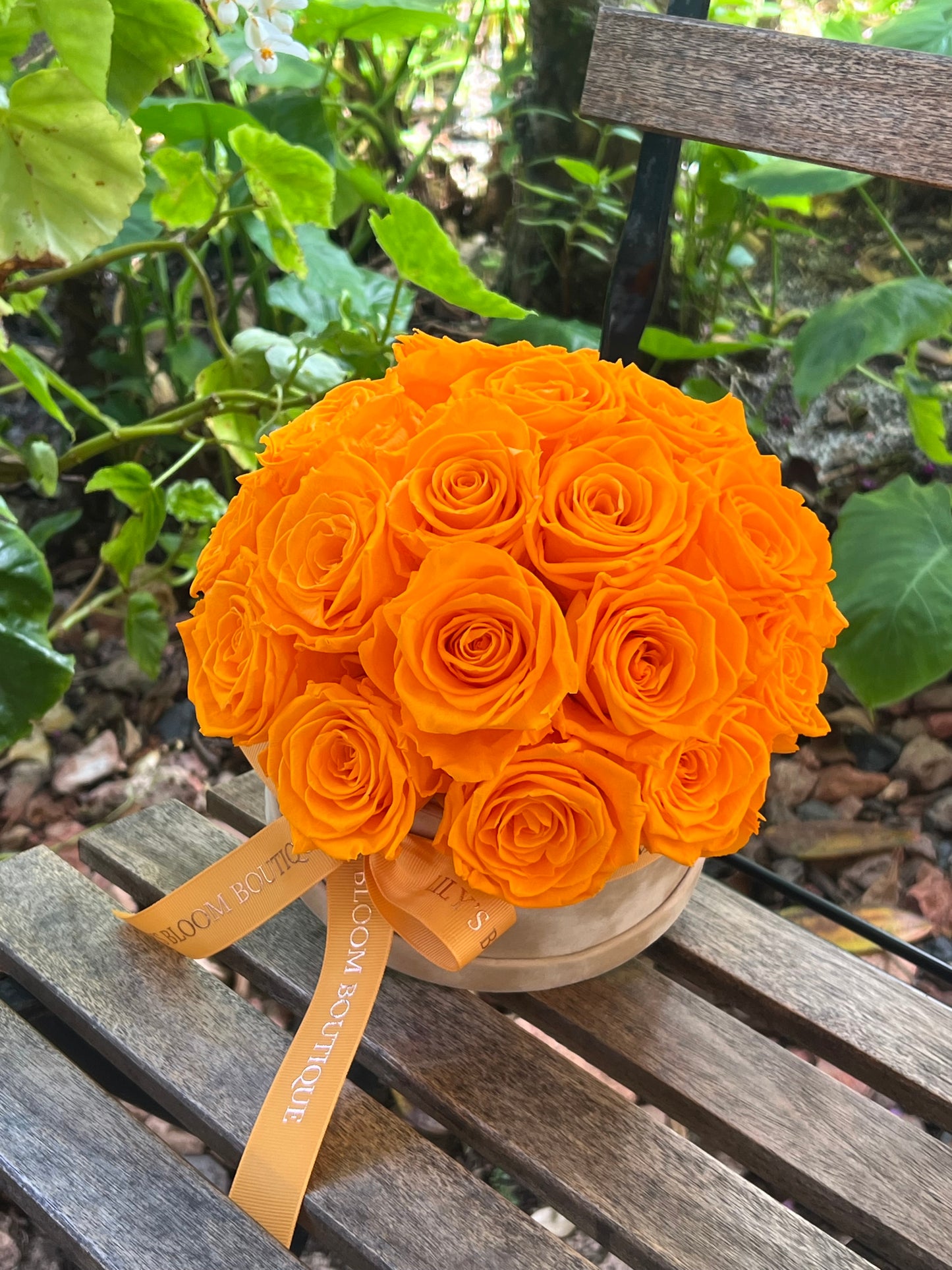 Orange Tropical Glow