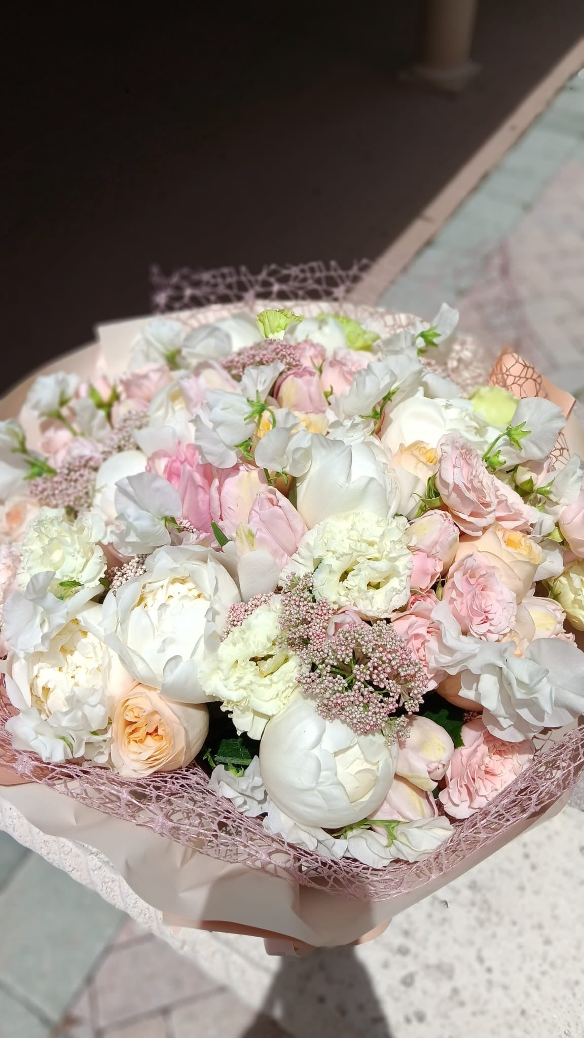 Pastel dream
