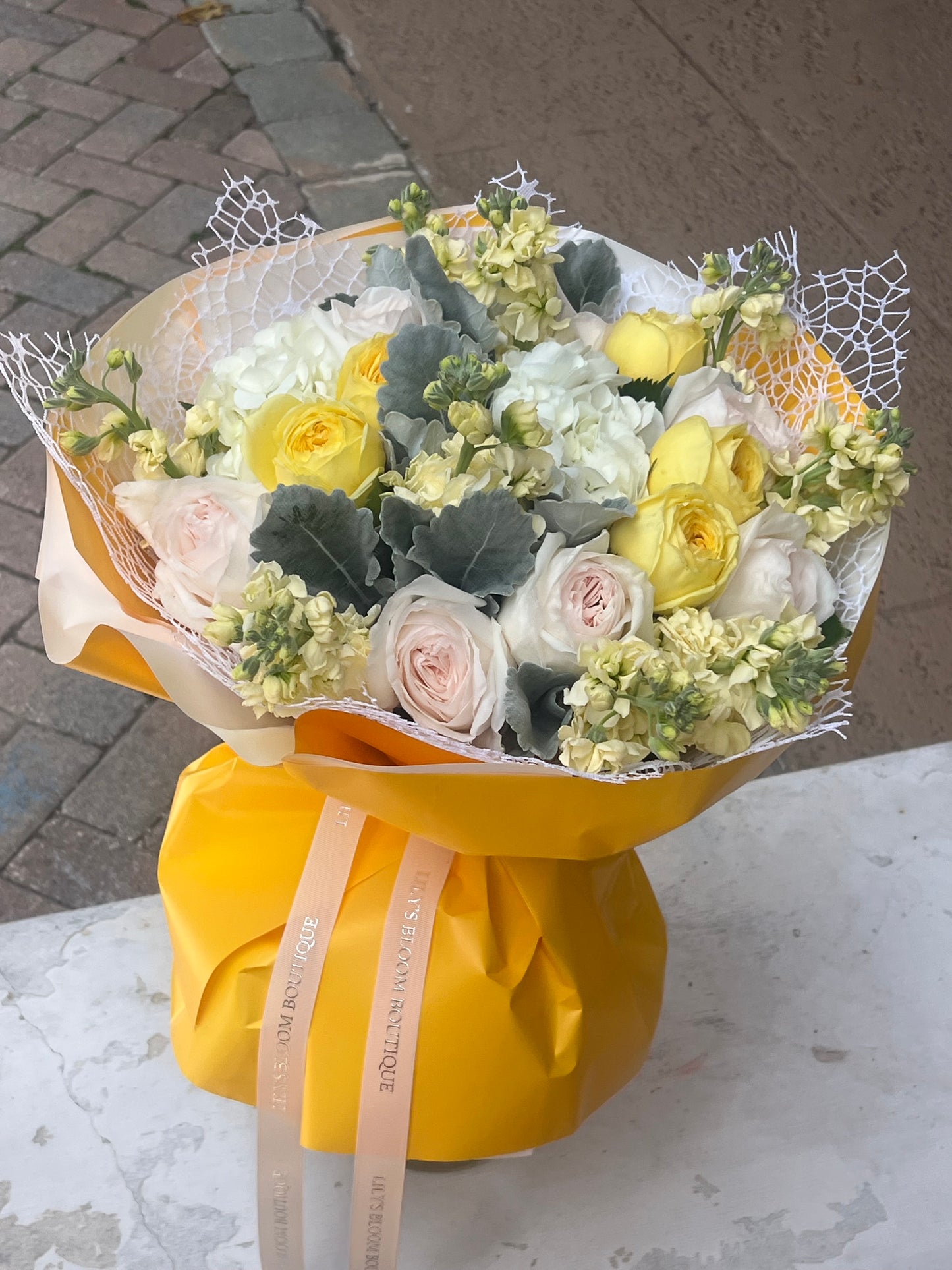 Catalina Fresh Roses Limited Seasonal Collection