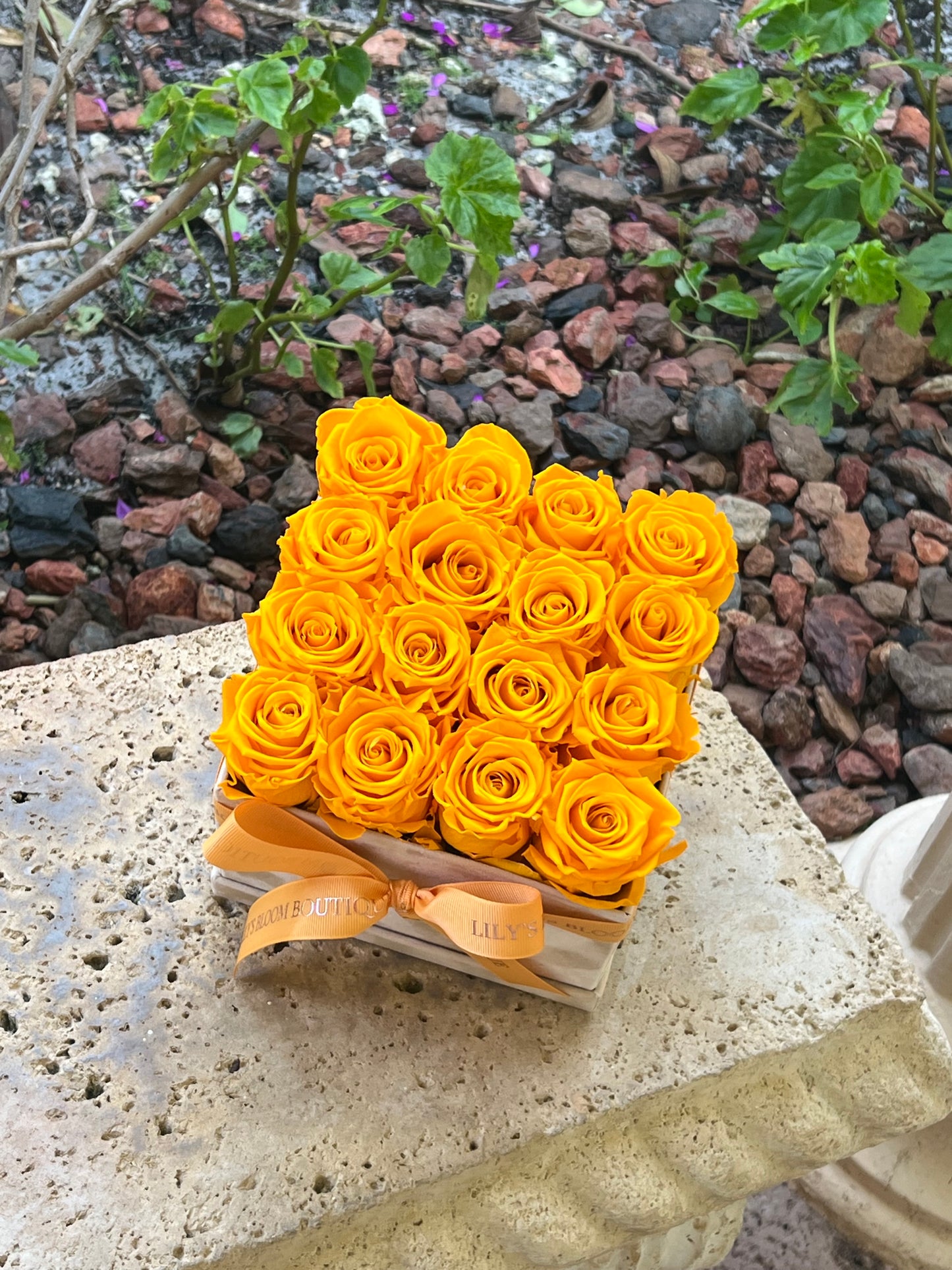Orange Eclat