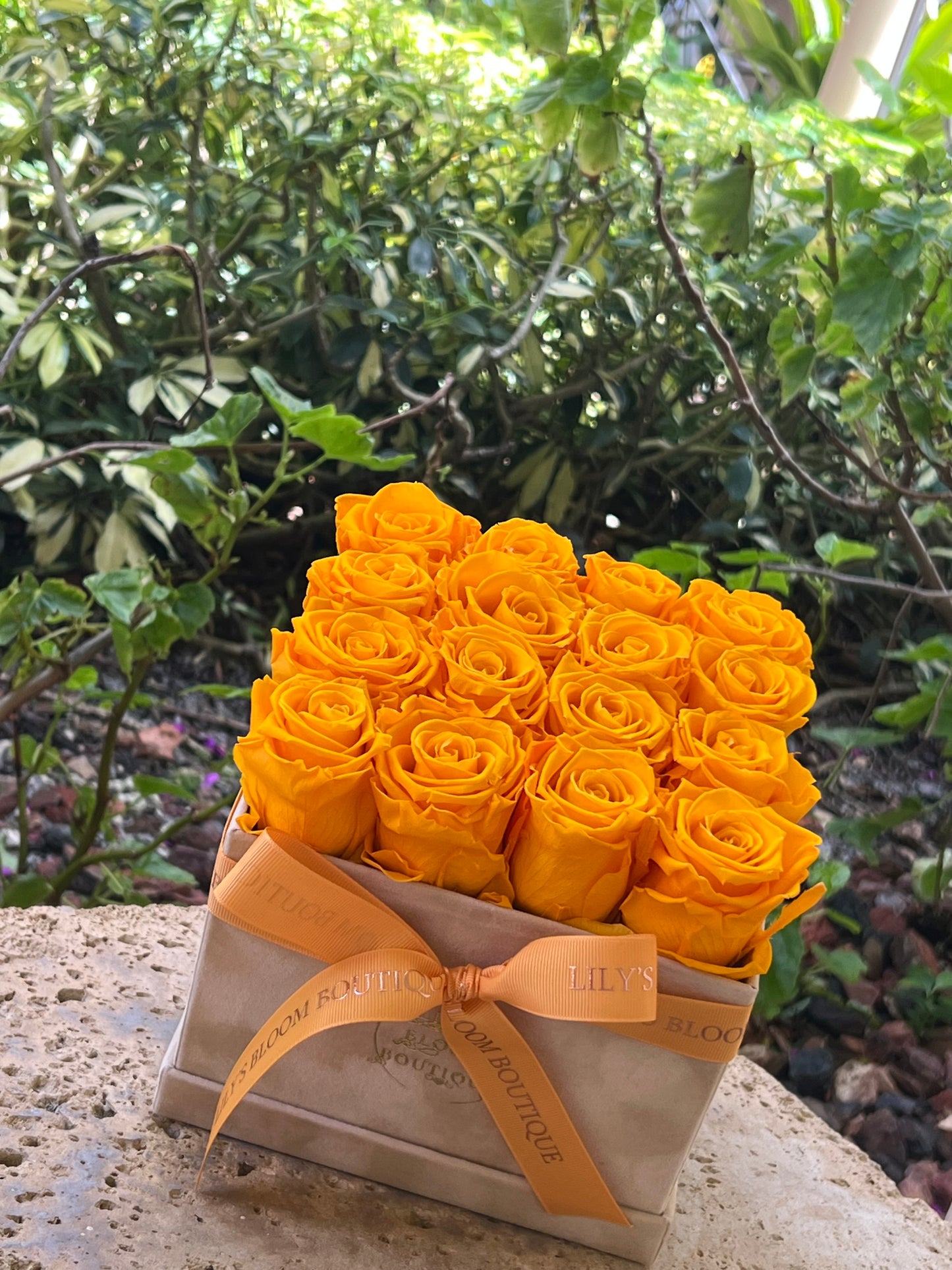 Orange Eclat