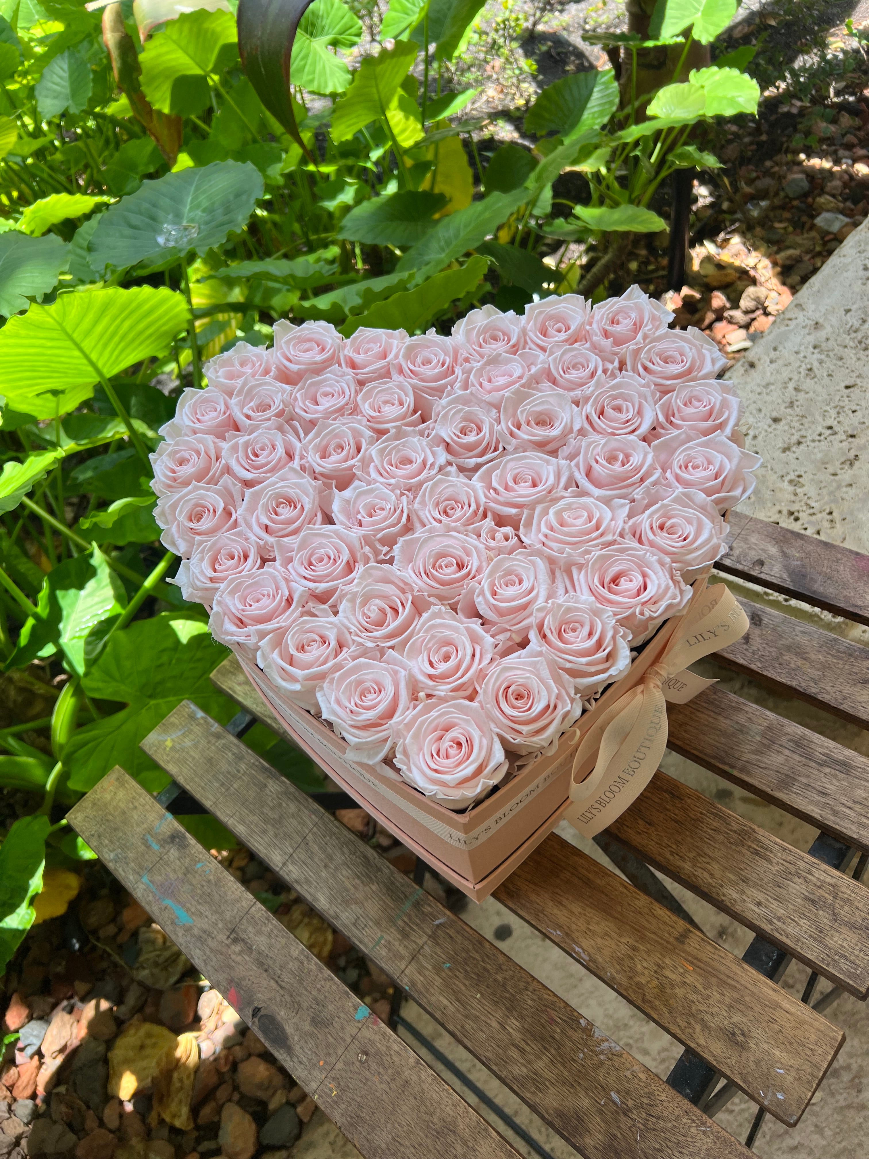 Delicate Rose Haven Large Box