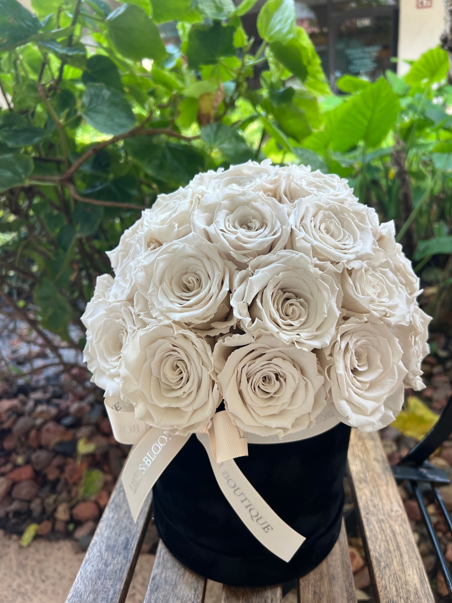 Fleur de Temps Velvet Box
