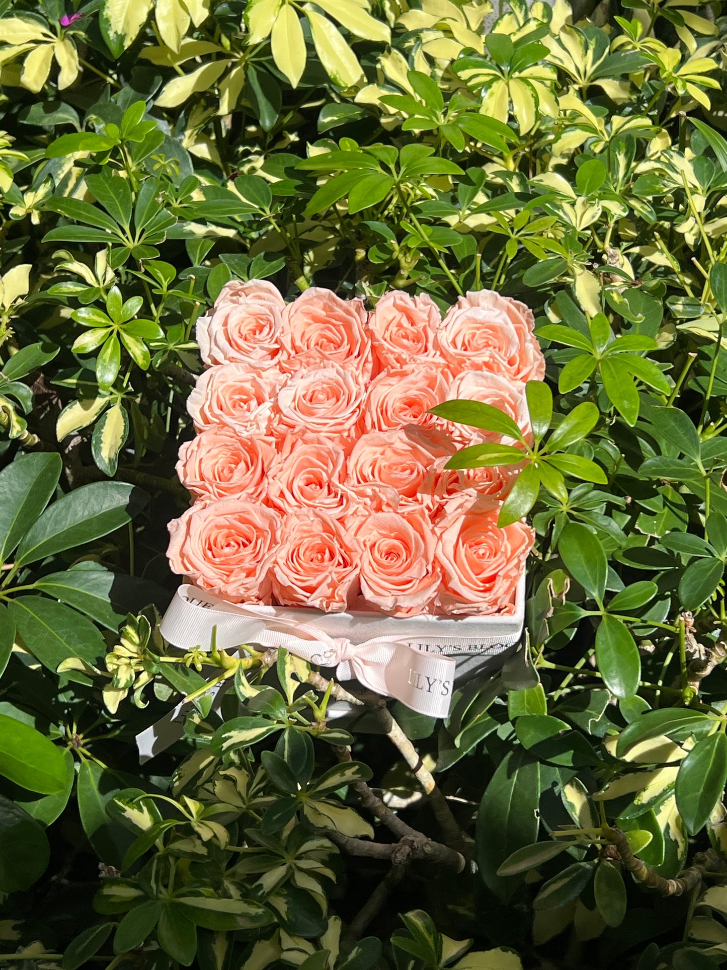 Champagne Petal Box