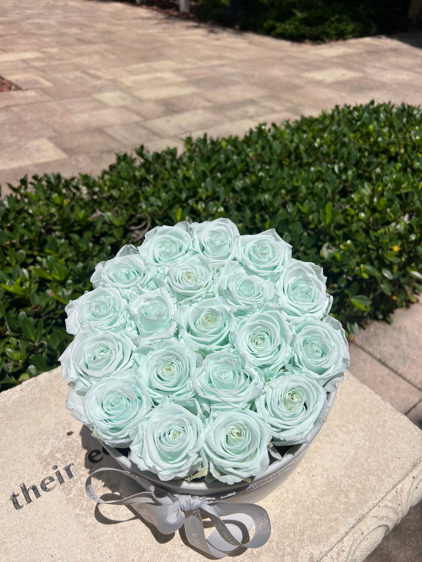 Mint Frosted Bloom