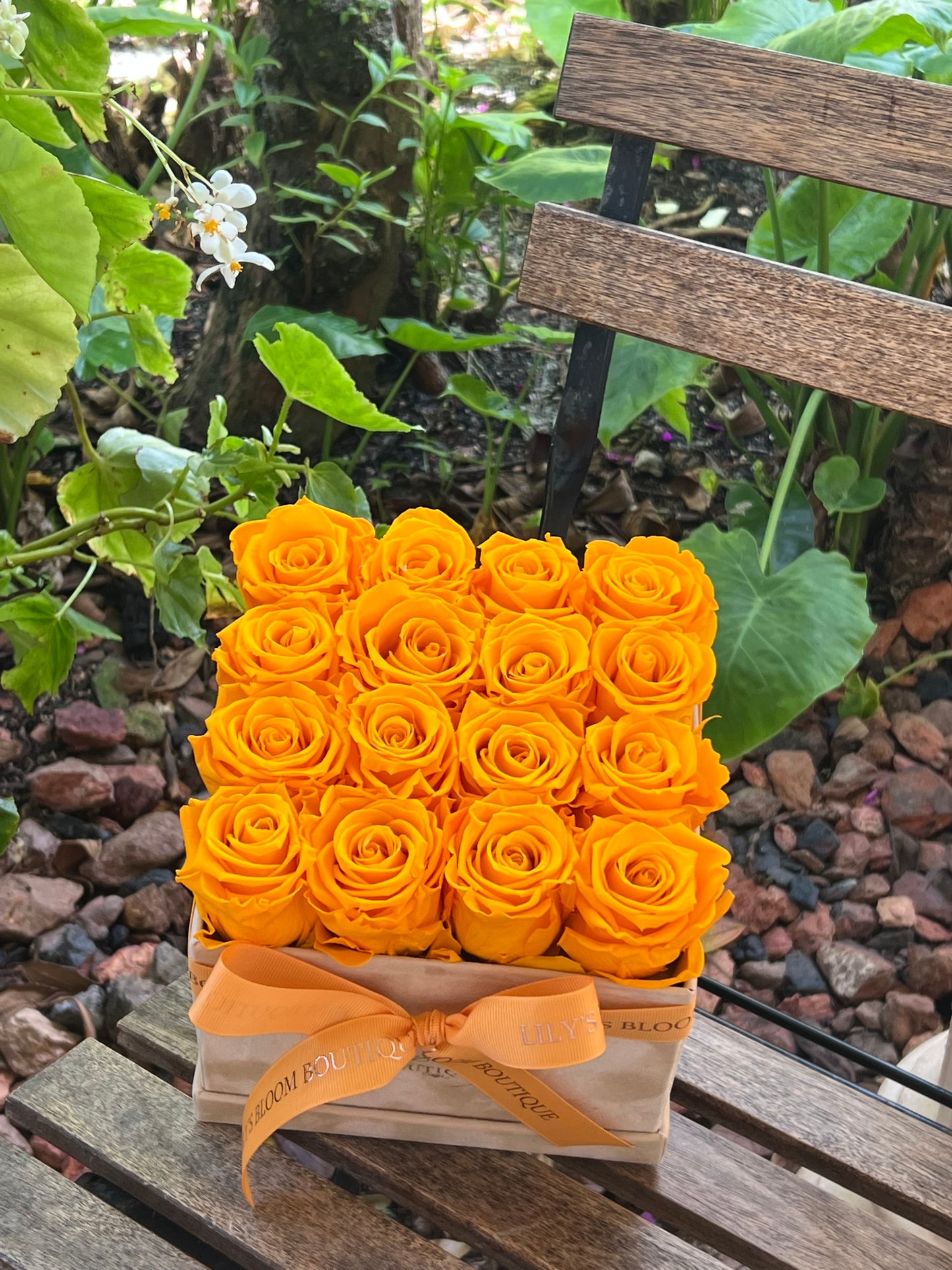 Orange Eclat