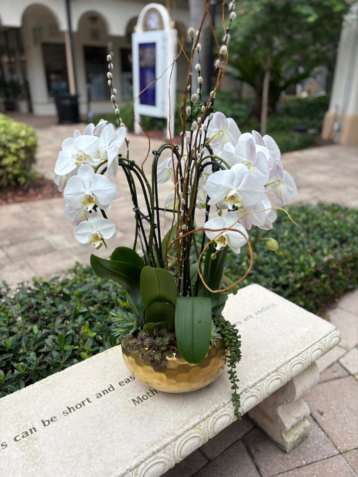 Perfect Orchids Style