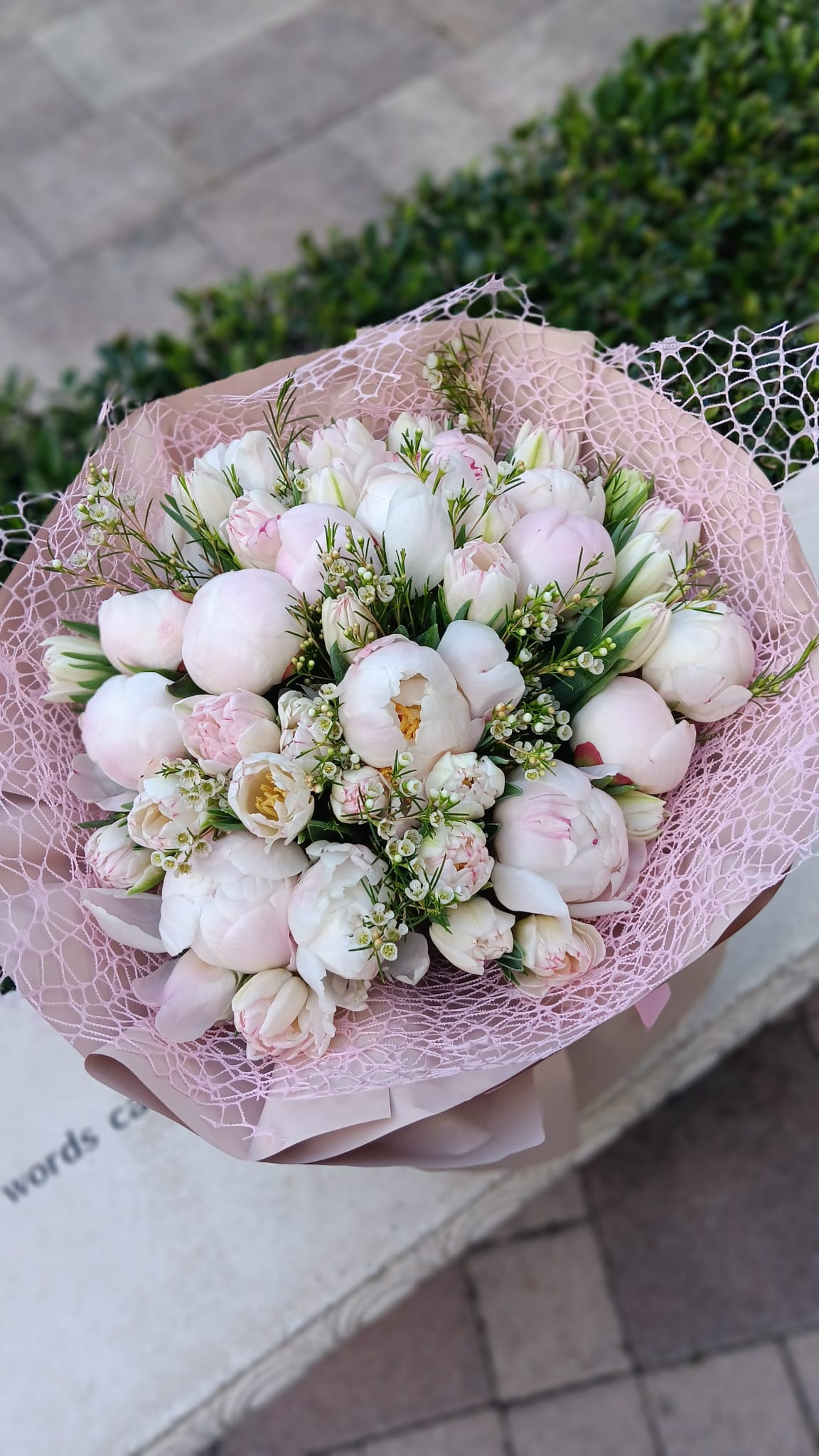 Pastel dream