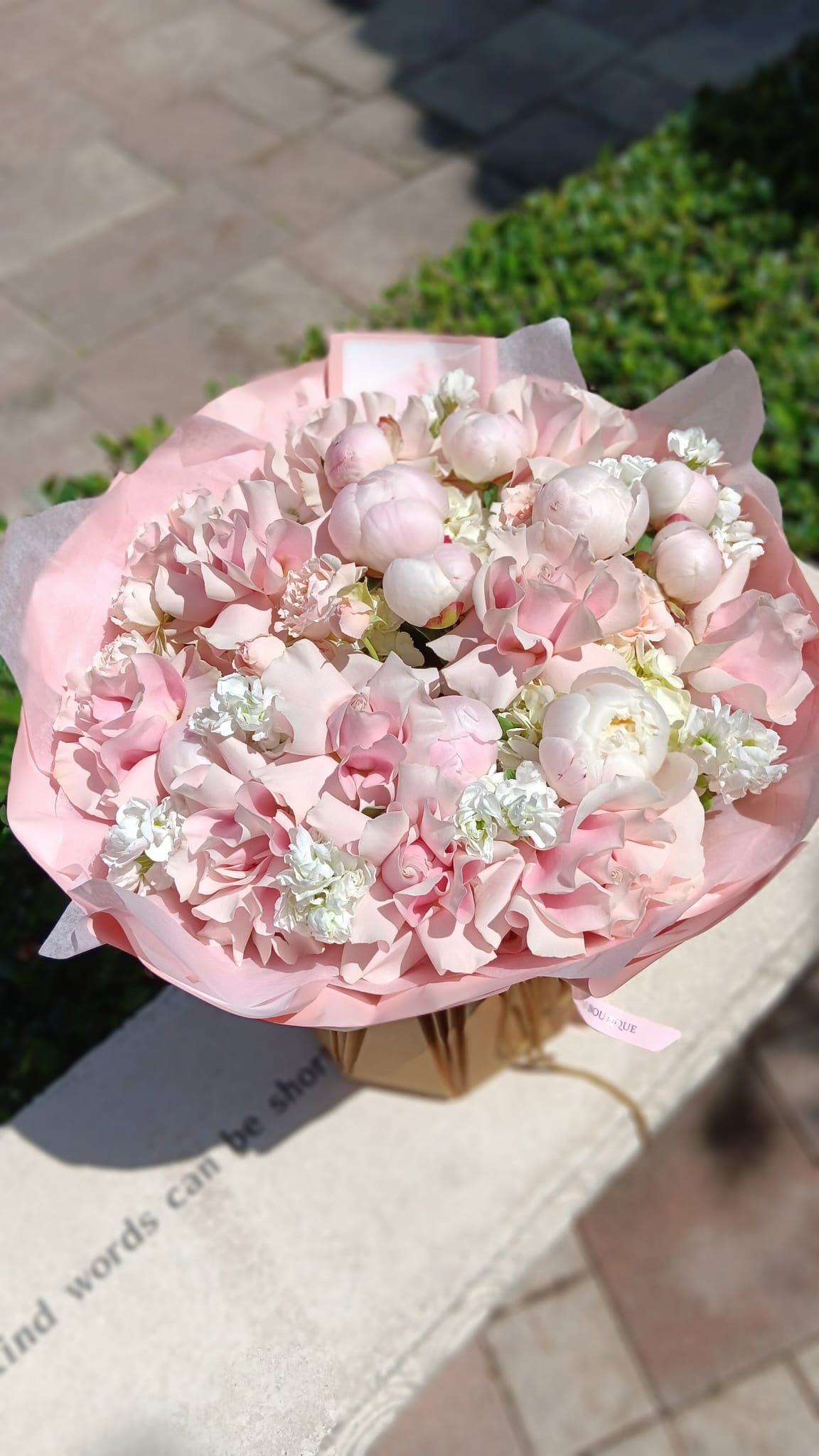 Pink Cloud Peonies