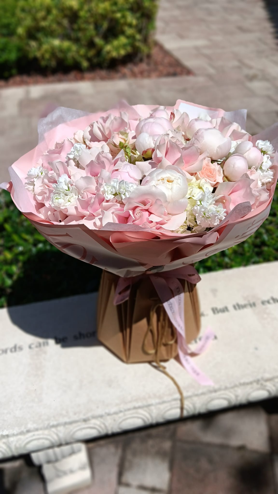 Pink Cloud Peonies