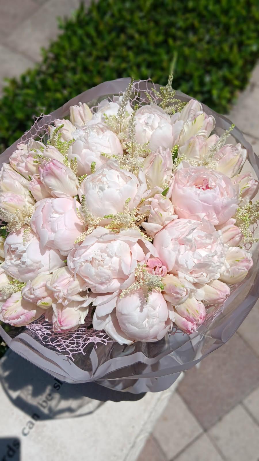 Pastel dream