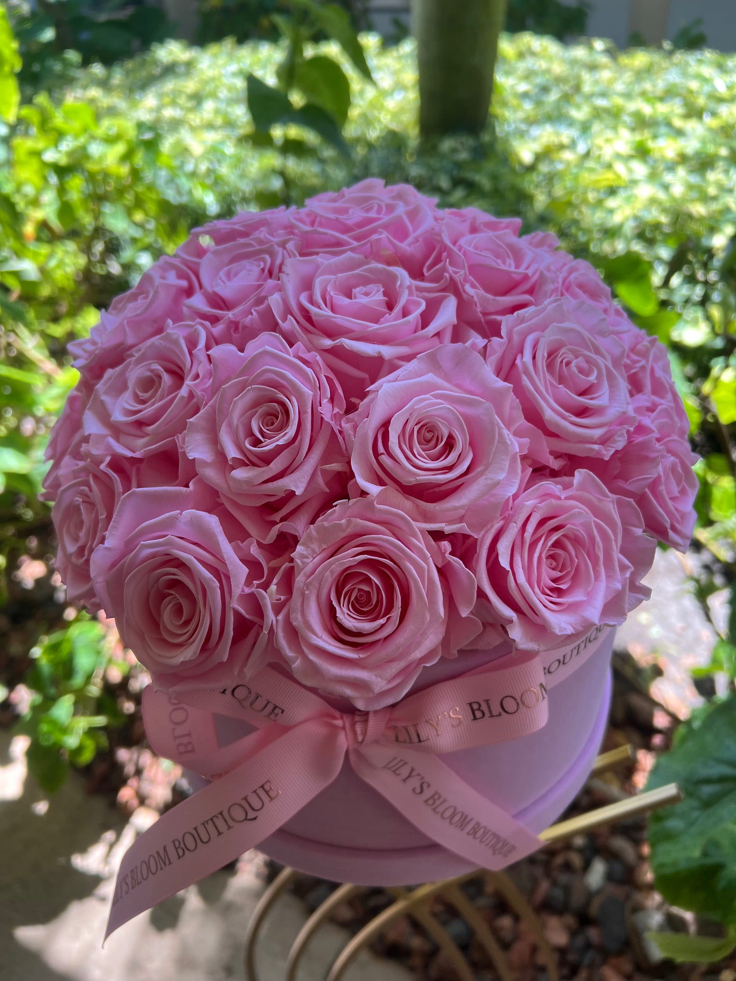 Blush Pink Preserved Roses Large Box