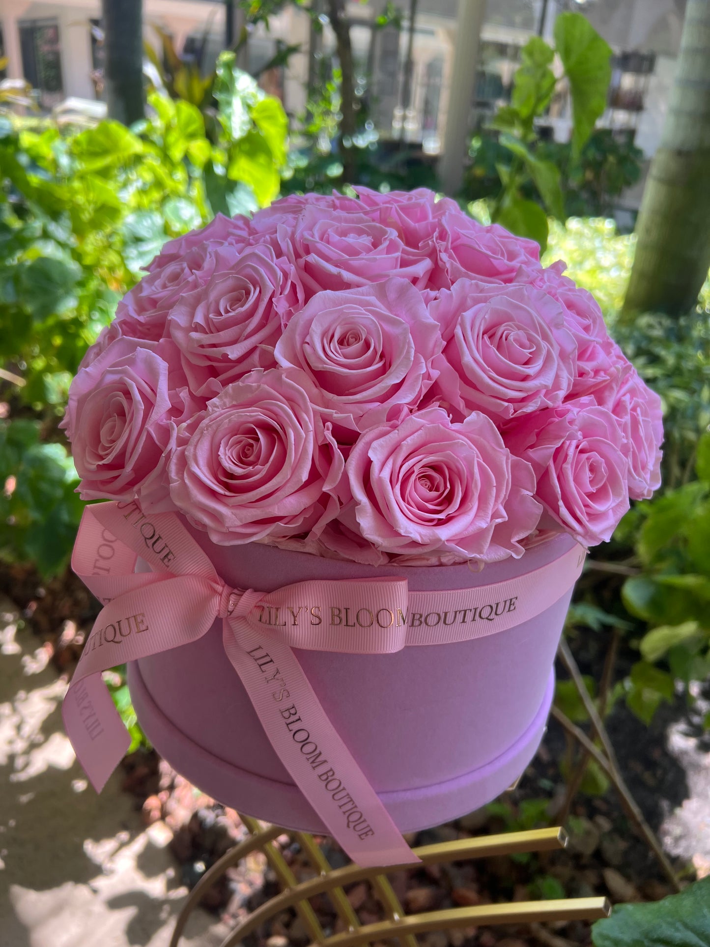 Blush Pink Preserved Roses Large Box