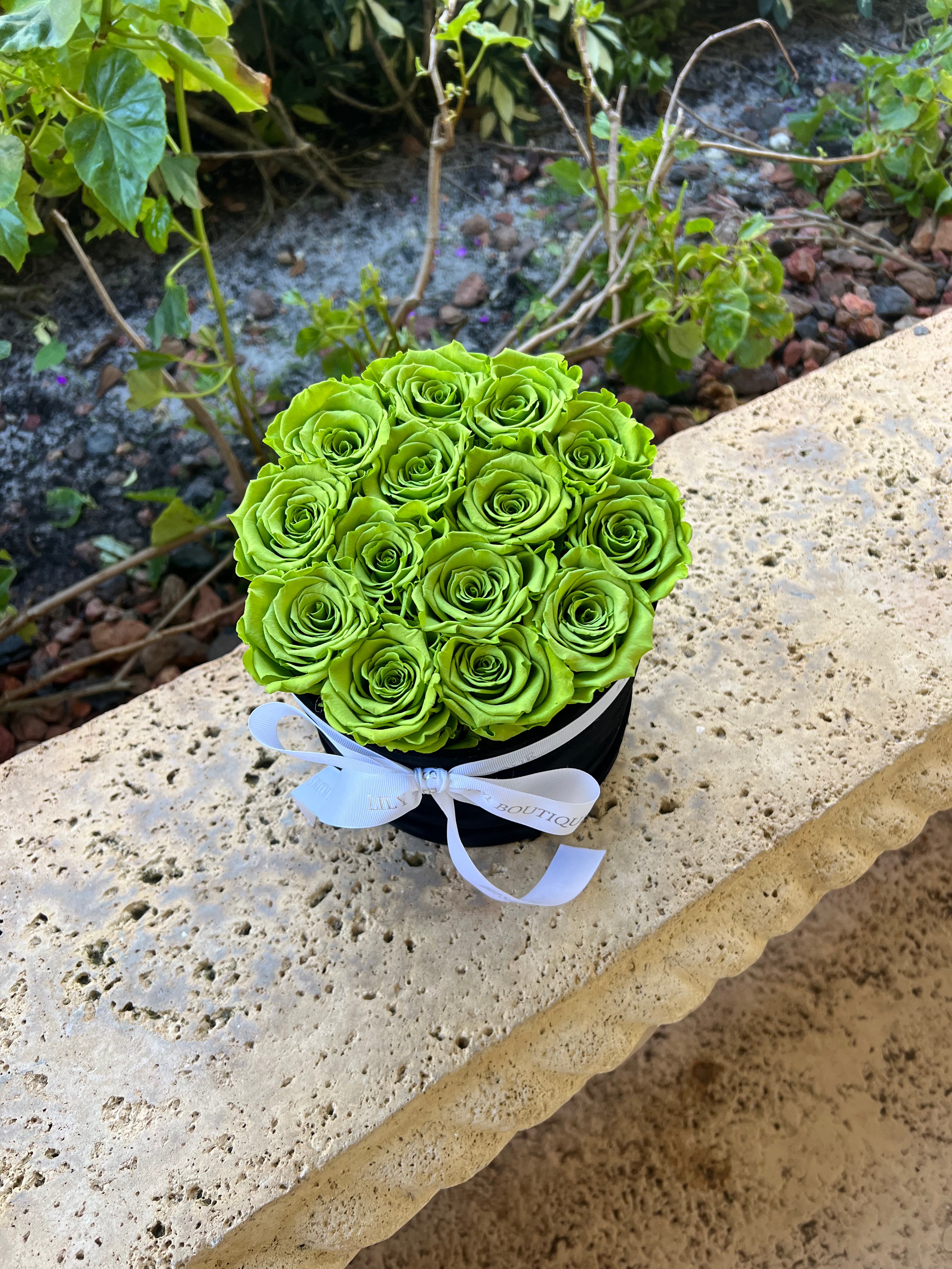 Green Enigma Preserved Roses Box