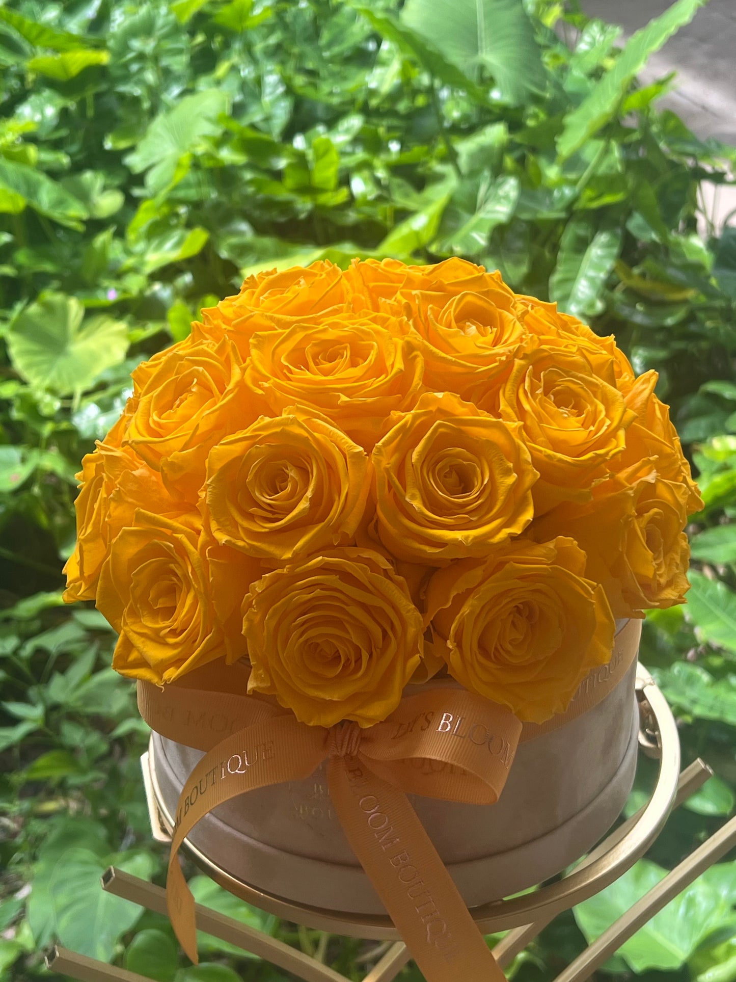 Sunrise Charm Bloom
