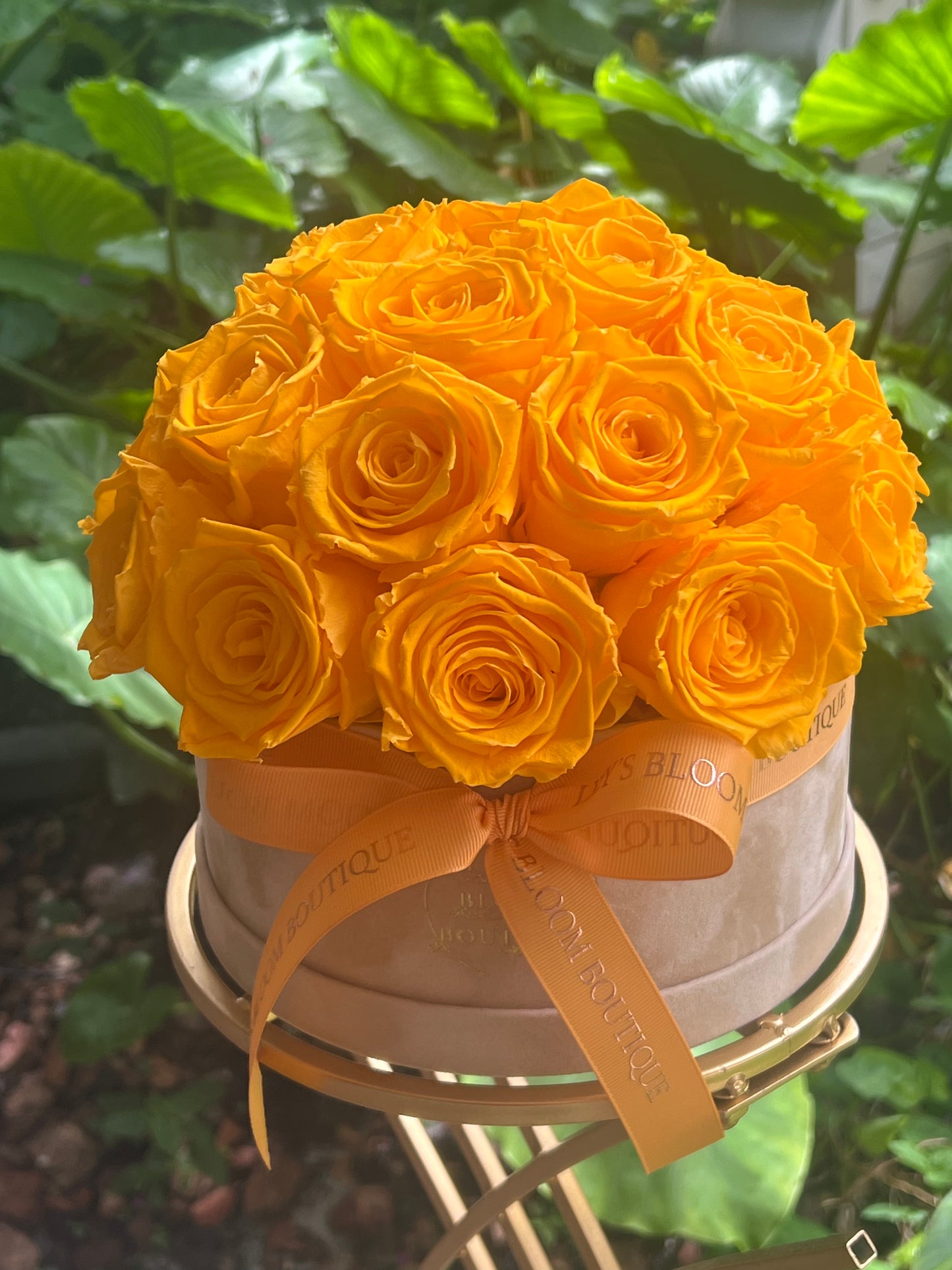 Sunrise Charm Bloom