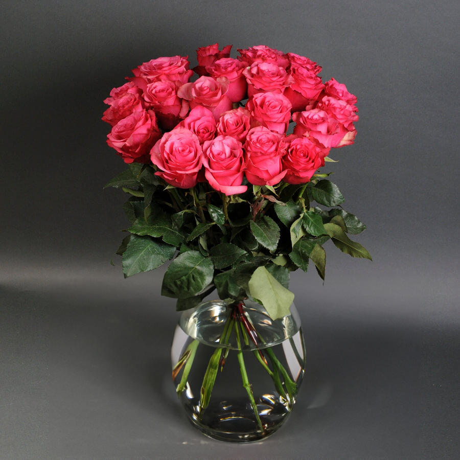 Hot Pink Roses in a Vase