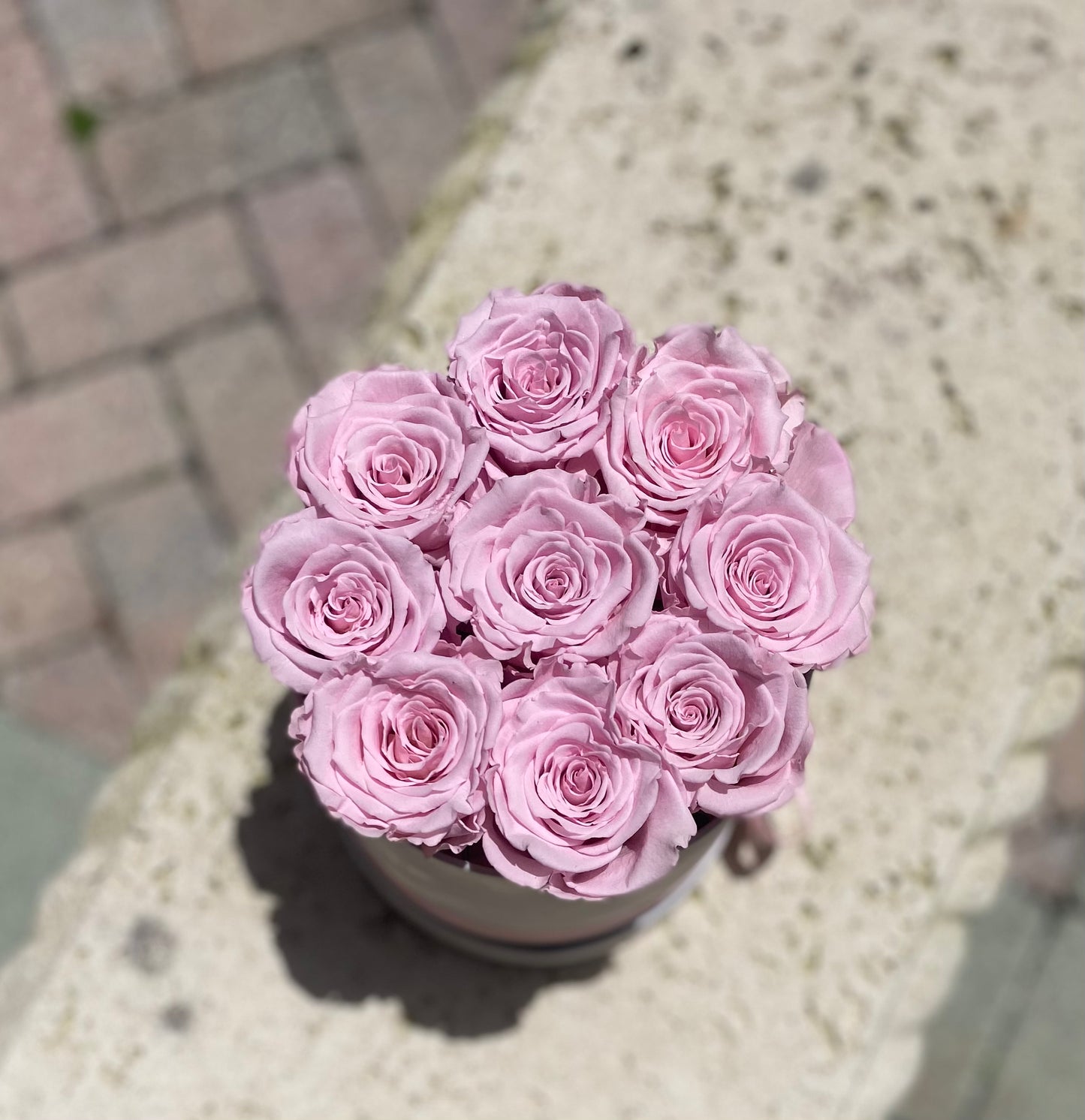 Pink Preserved Roses