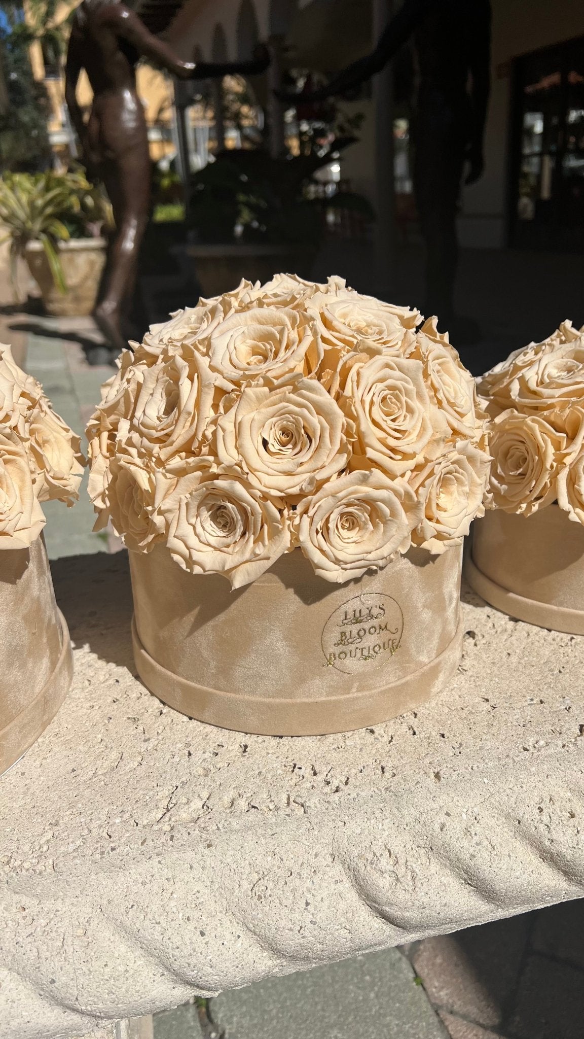 Soft Cream Forever Roses (Medium) - Lily's Bloom Boutique
