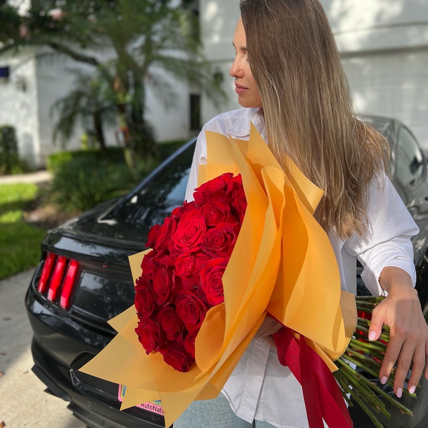 Best and Fresh Handpicked Red Roses