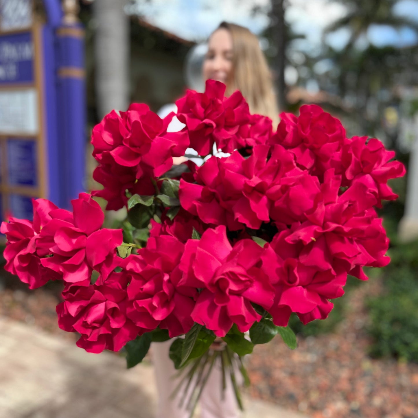 Love and Passion Hot Pink 2 dozen roses