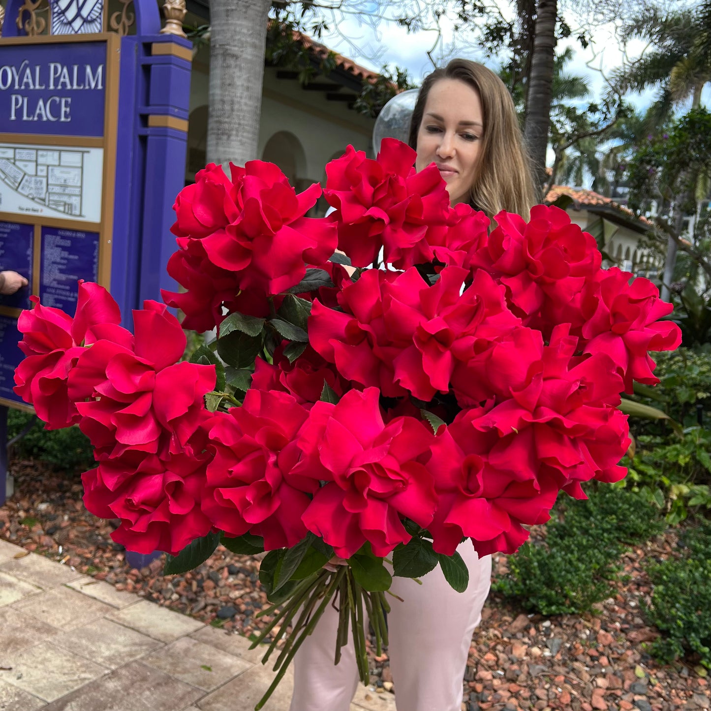 Love and Passion Hot Pink 2 dozen roses