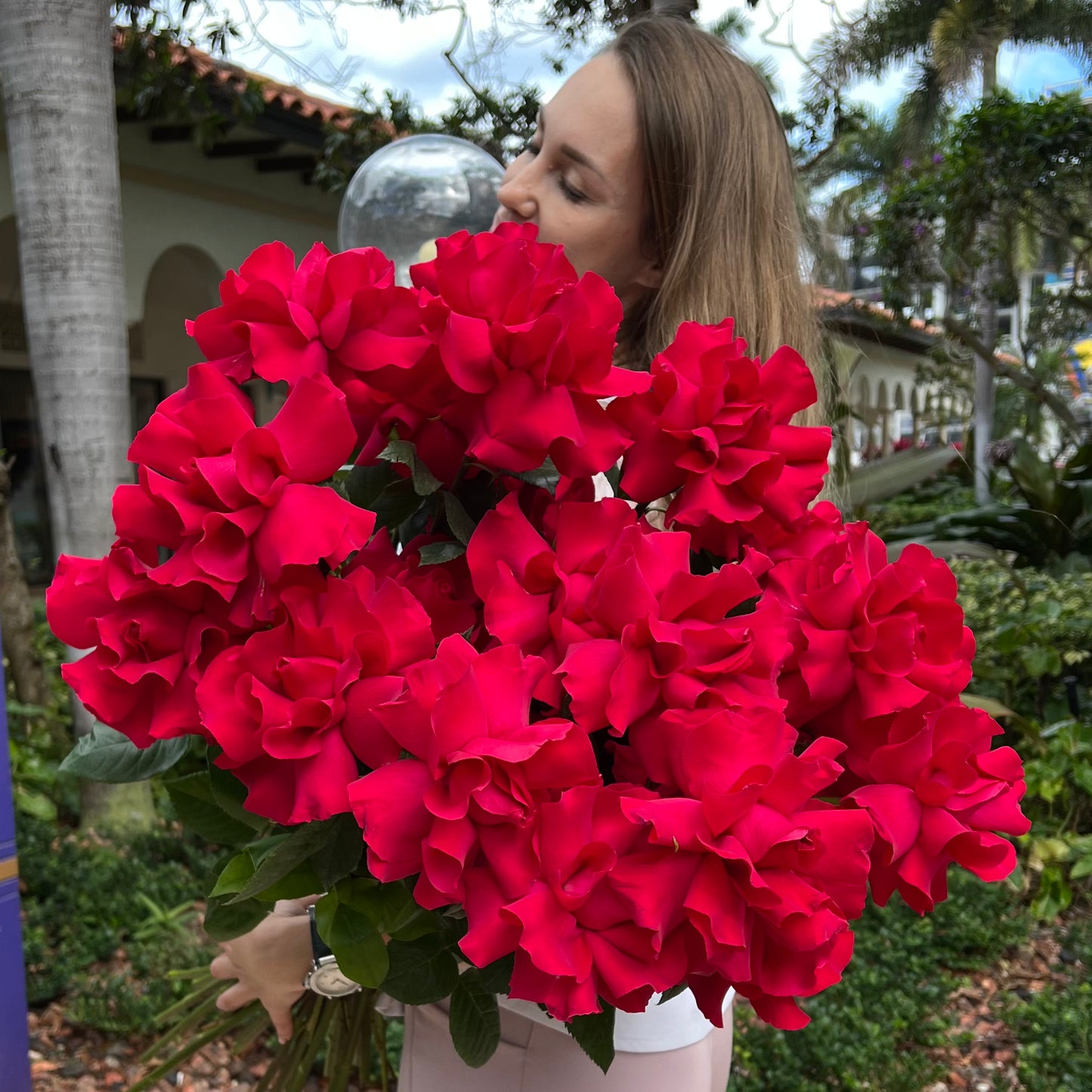 Love and Passion Hot Pink 2 dozen roses