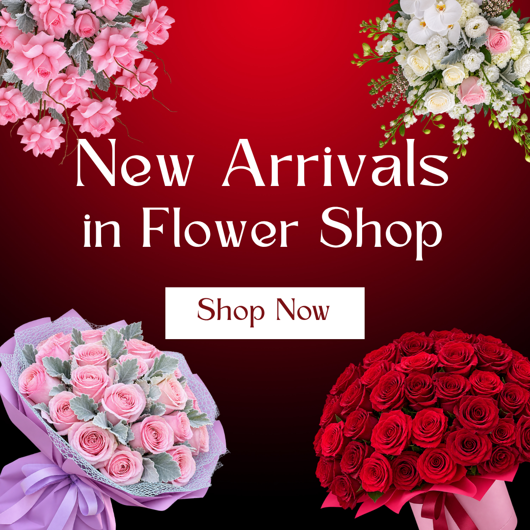 Carnations - Lily's Bloom Boutique