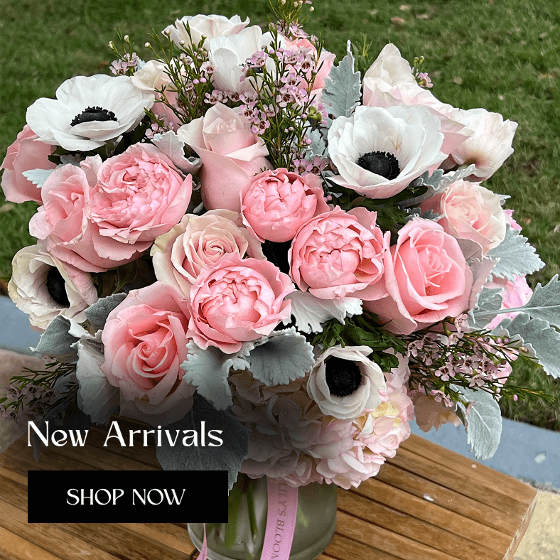 Carnations - Lily's Bloom Boutique