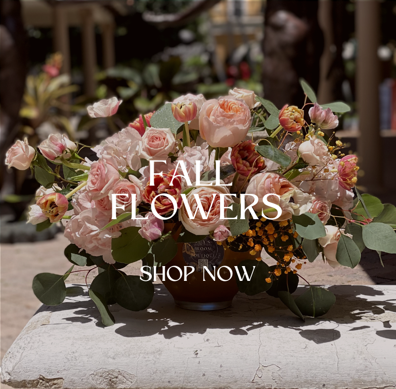 Fall Flowers, Order Flowers 