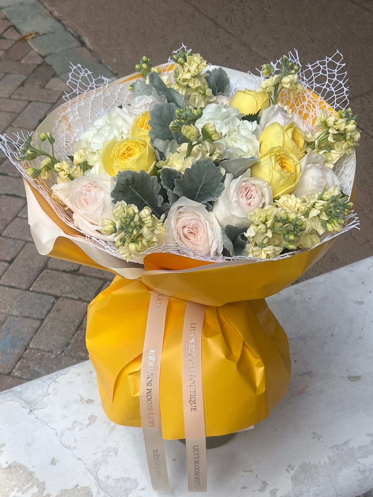 Catalina Fresh Roses Limited Seasonal Collection