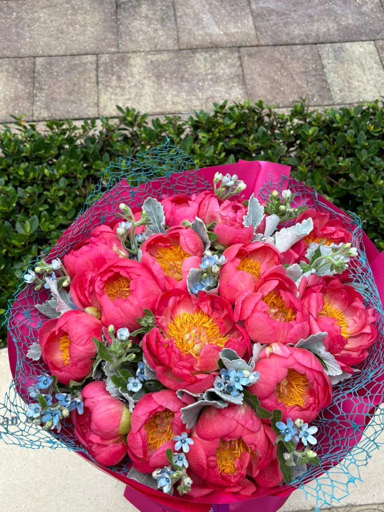 Coral Charm Fresh Peonies in Bloom
