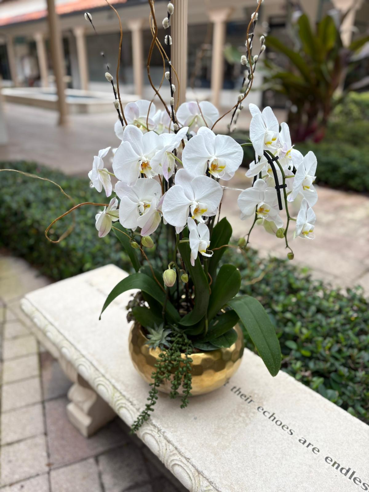 Perfect Orchids Style