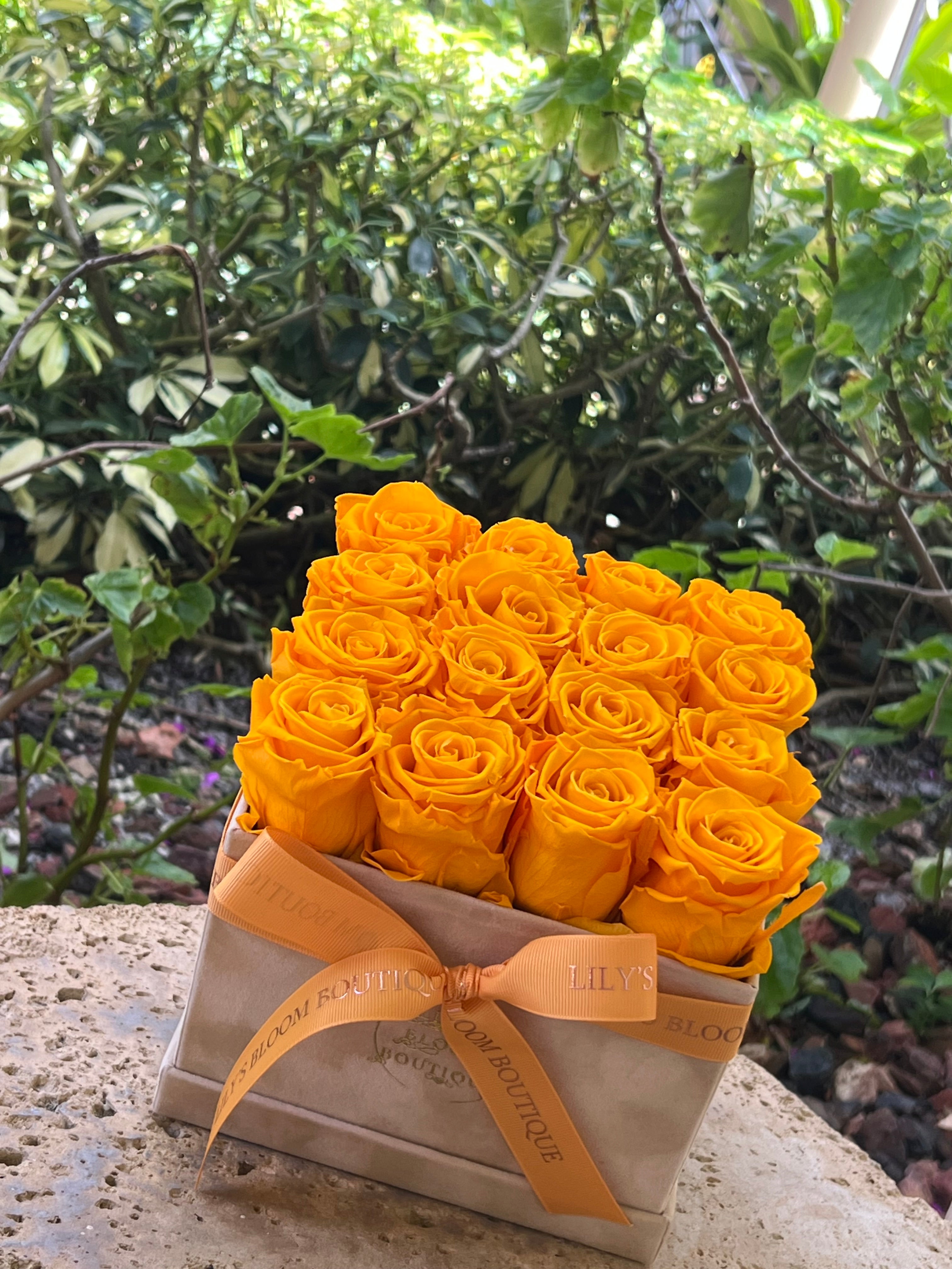 Orange Eclat
