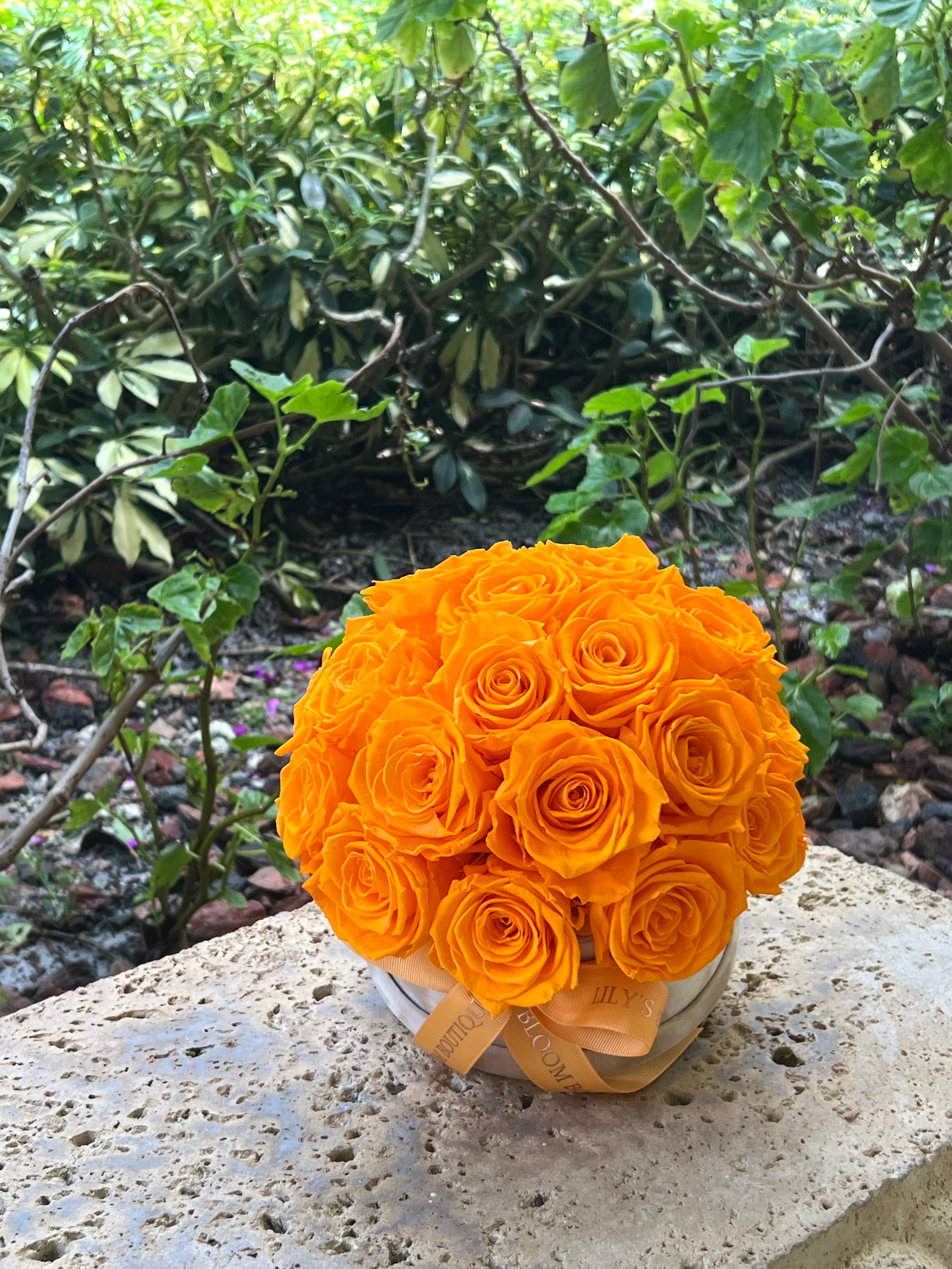 Orange Tropical Glow