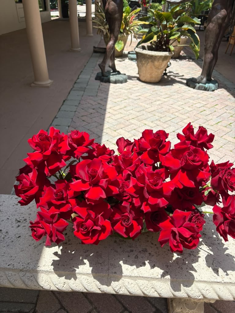 Amaranth Red Rose Vase