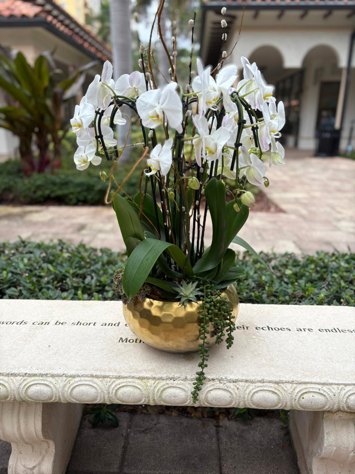 Perfect Orchids Style