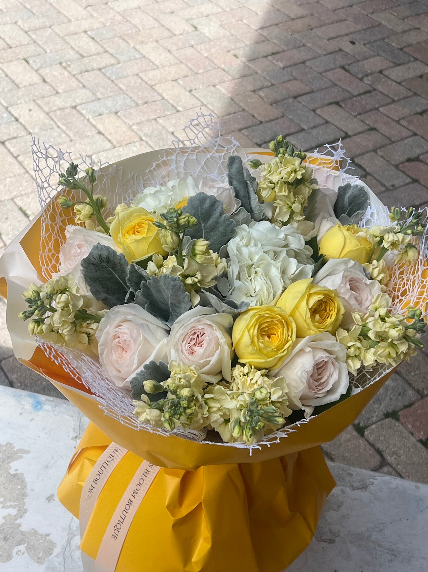 Catalina Fresh Roses Limited Seasonal Collection