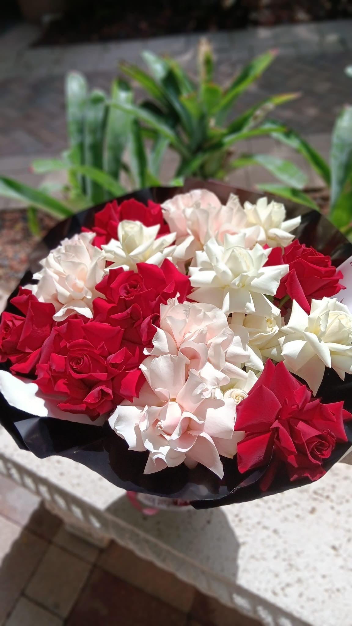 Puzzle of Love – Red, White & Pink Open Rose Bouquet