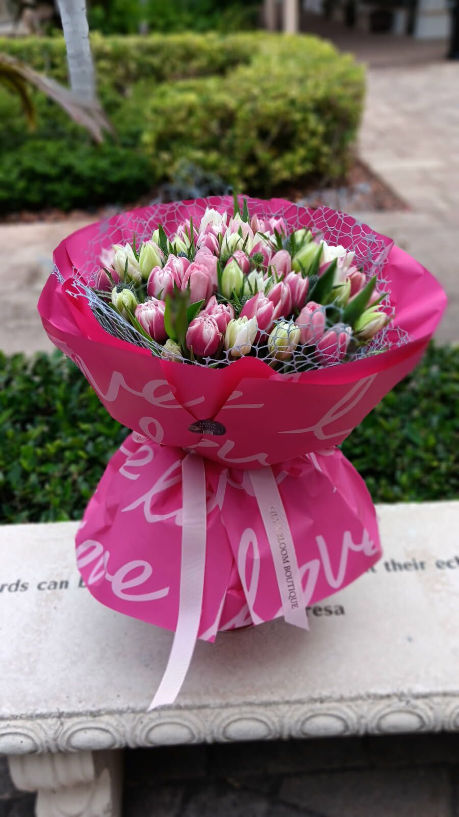 Tulip dream
