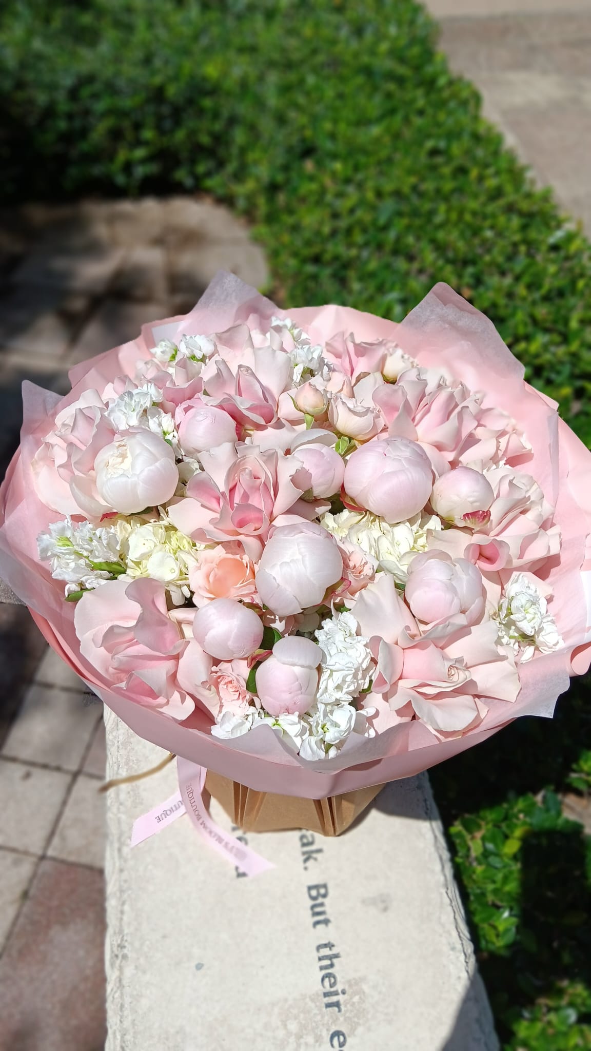 Pink Cloud Peonies
