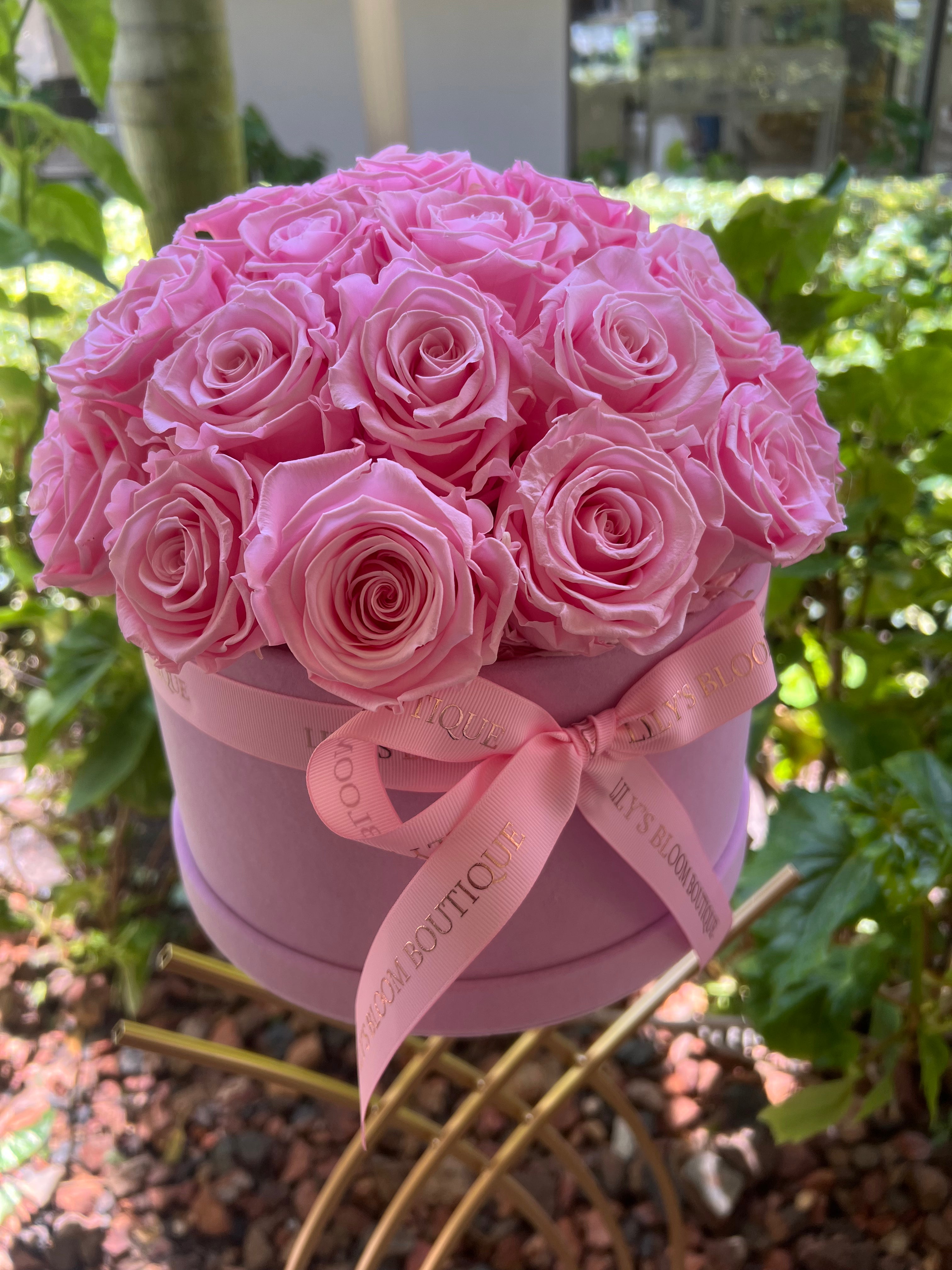 Blush Pink Preserved Roses Large Box