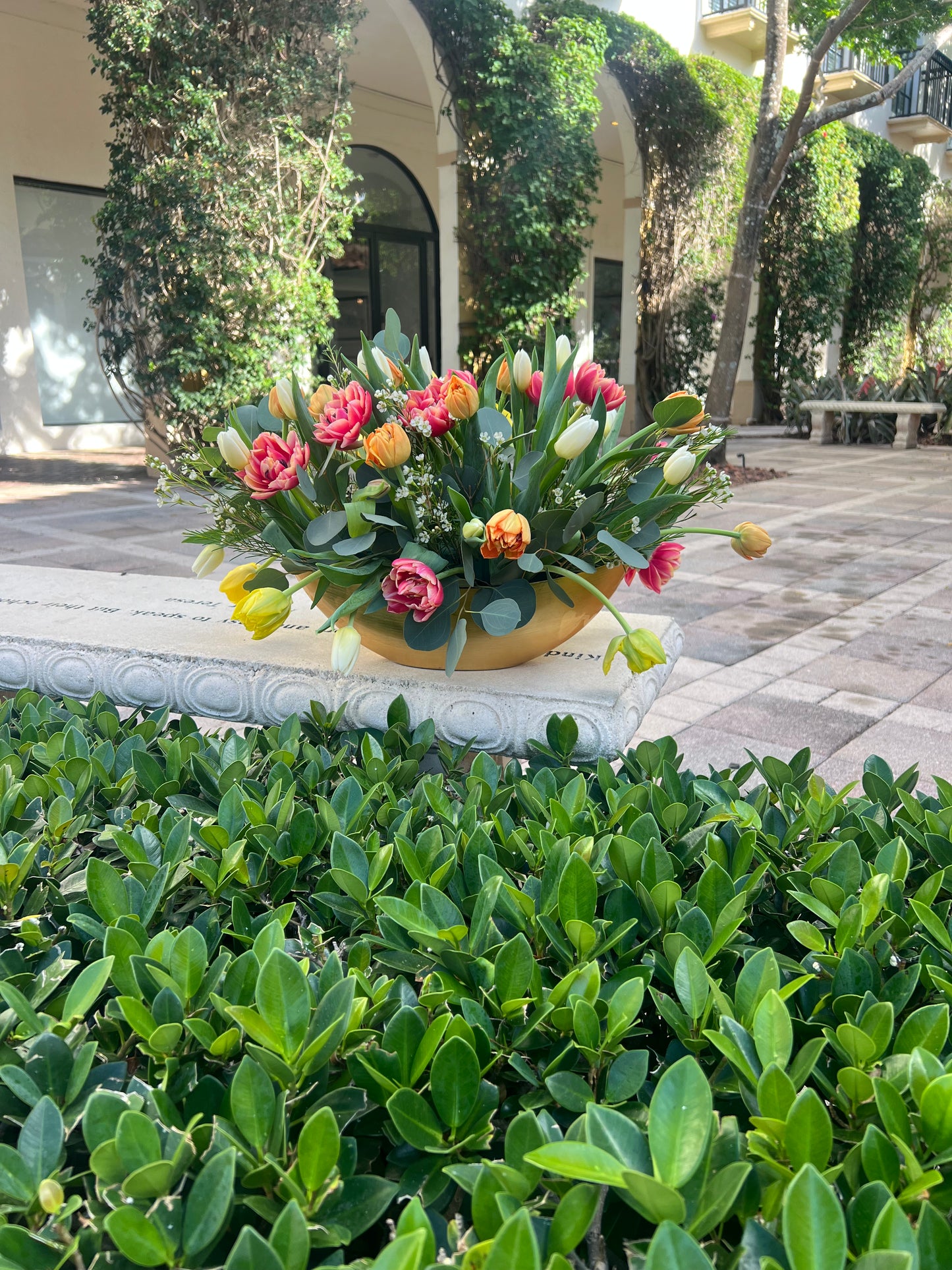 Tulips symphony