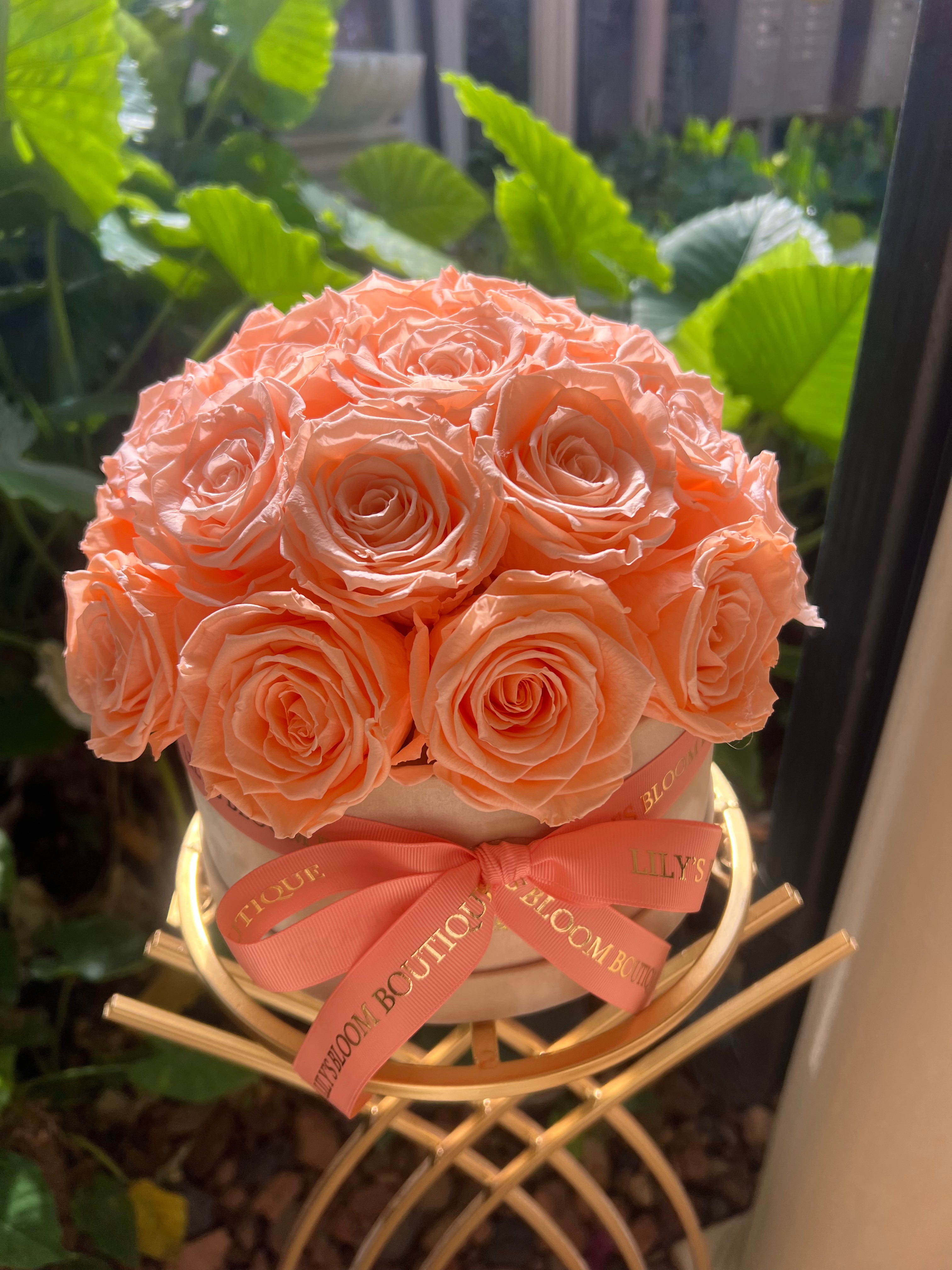 Peach Passion Bloom