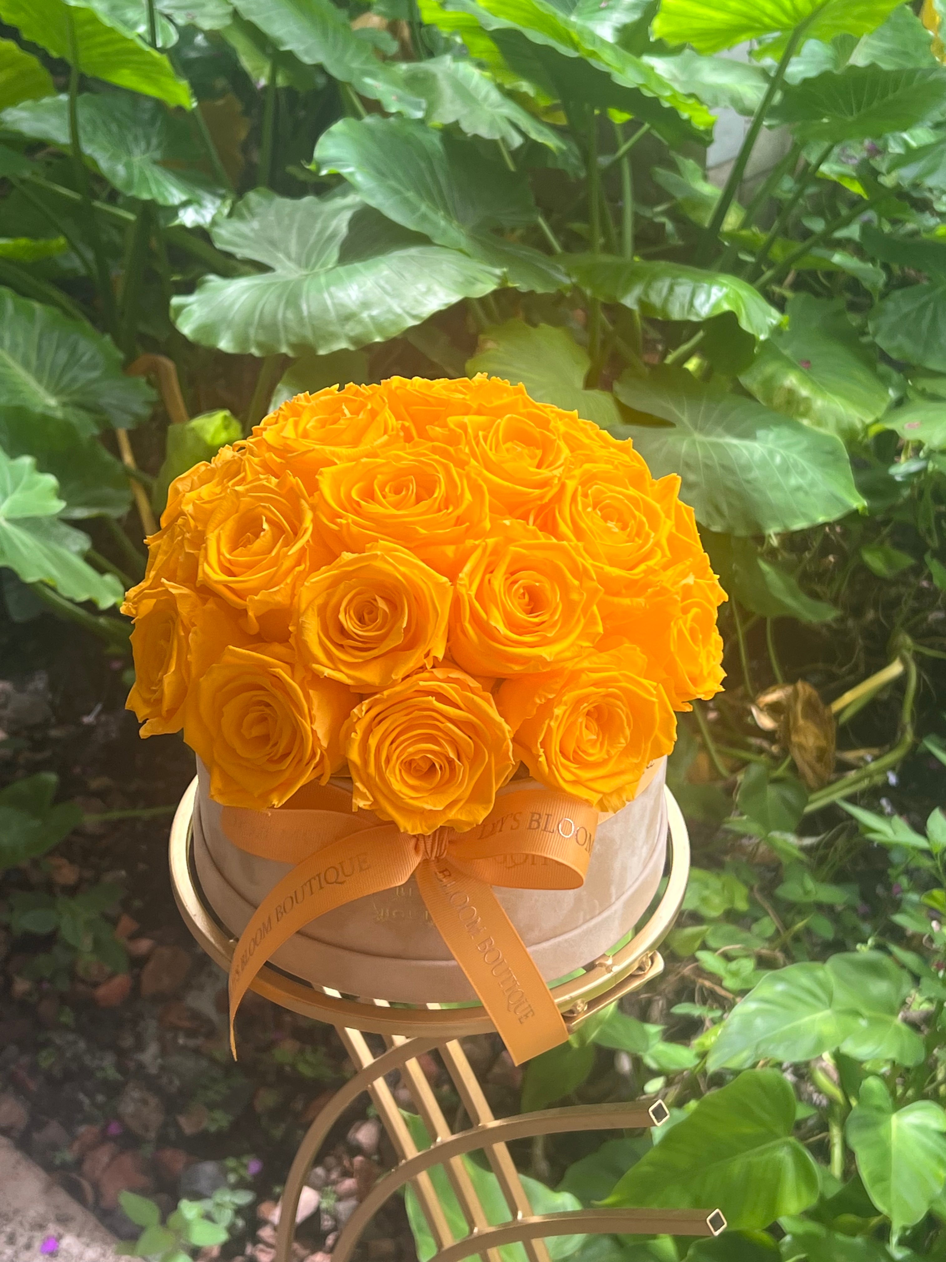 Sunrise Charm Bloom