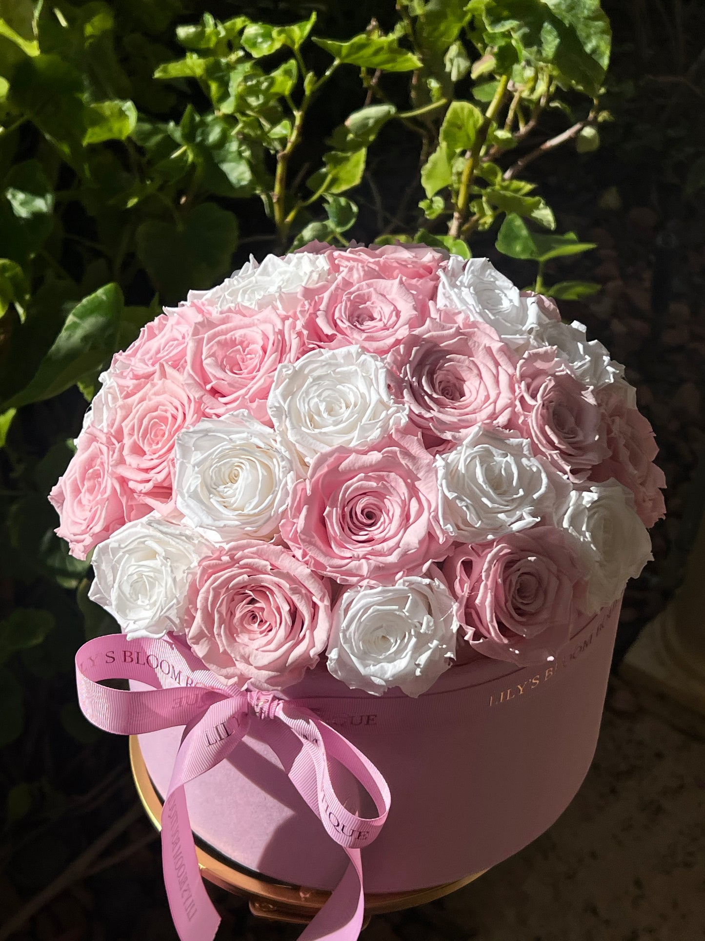 Blush Pink and White  Preserved Roses Large Box