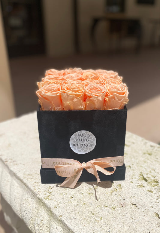 Peach Preserved Roses in Velvety box