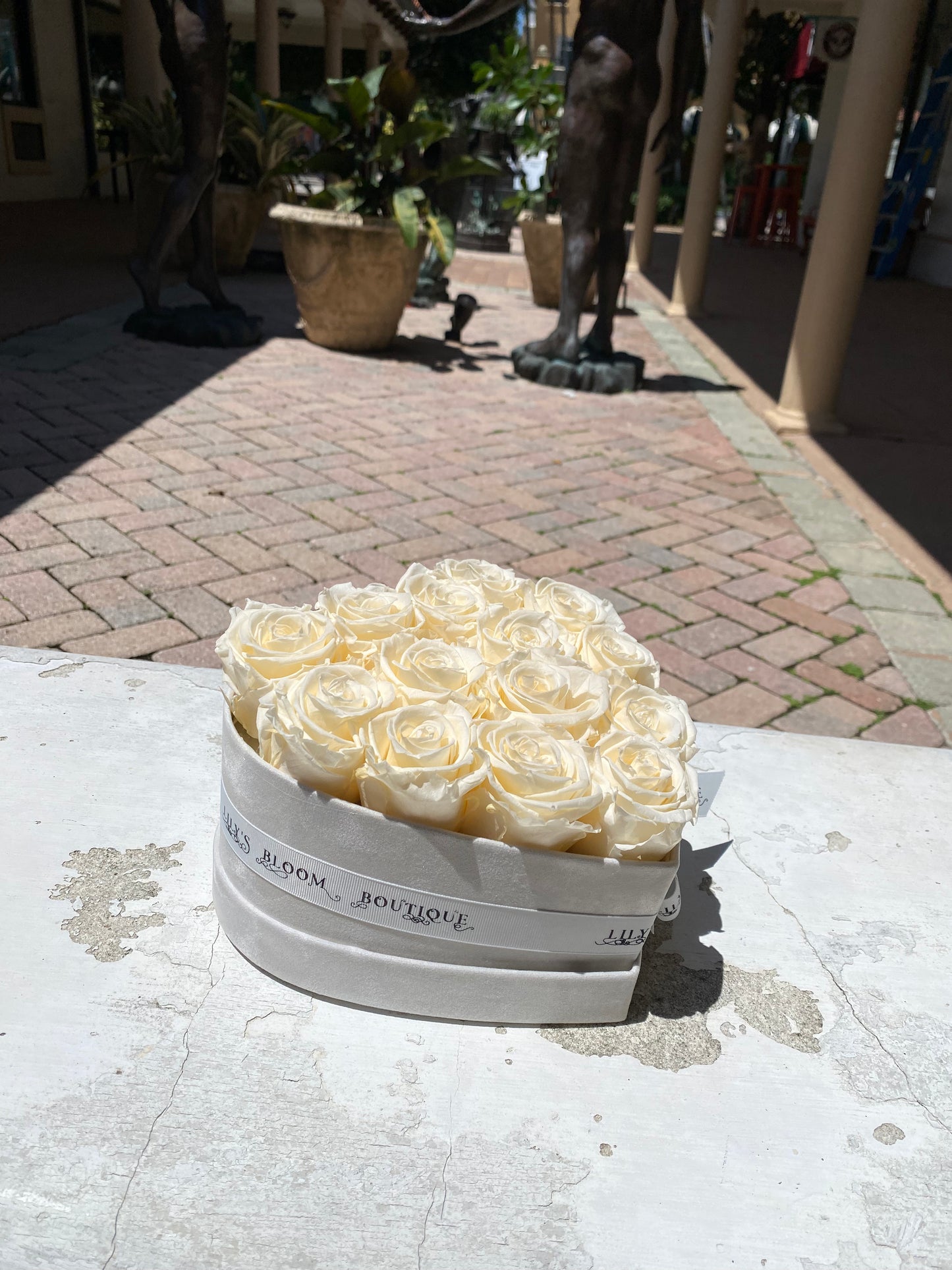 White Heart Preserved Roses Medium size box