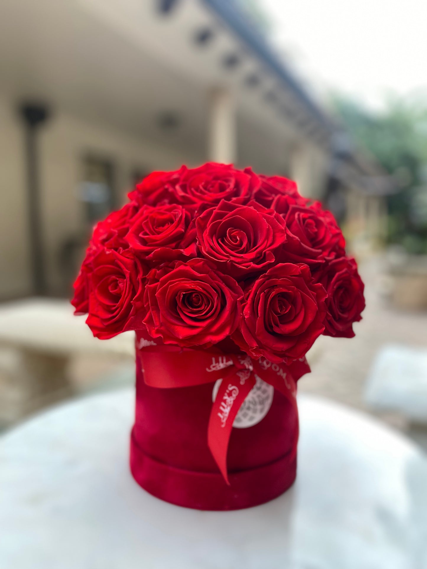 Red Roses ( preserved)