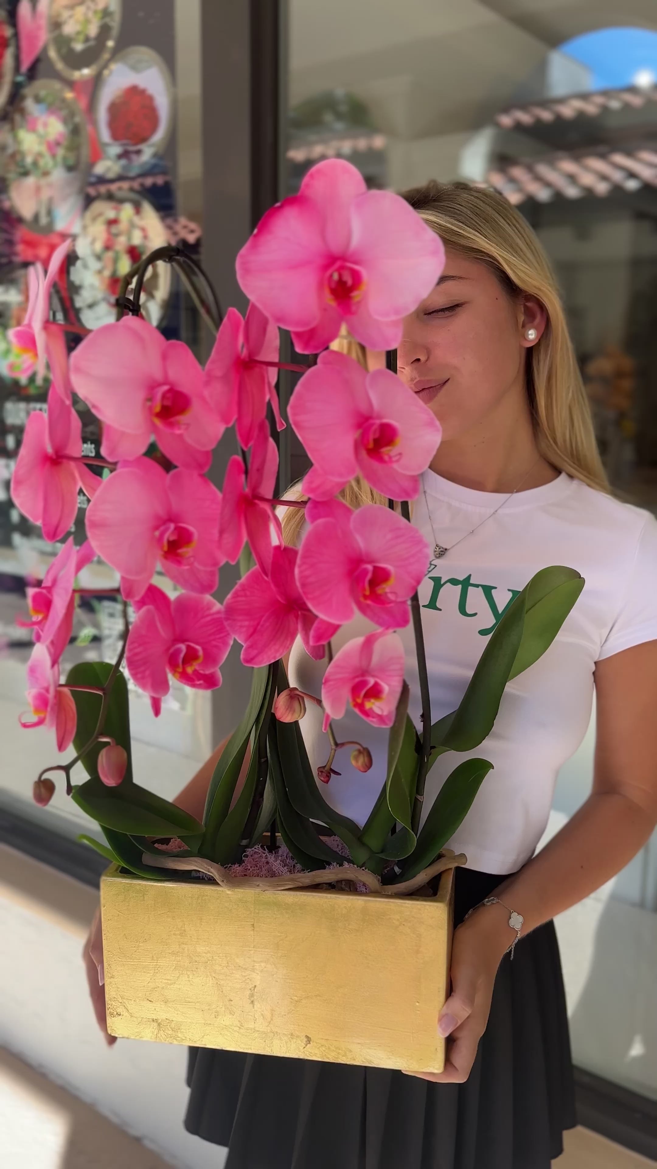 Pink Elegance Orchid